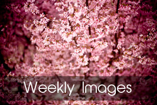 全面汇总2023年9月1日免费版CAD软件下载与访问网站指南