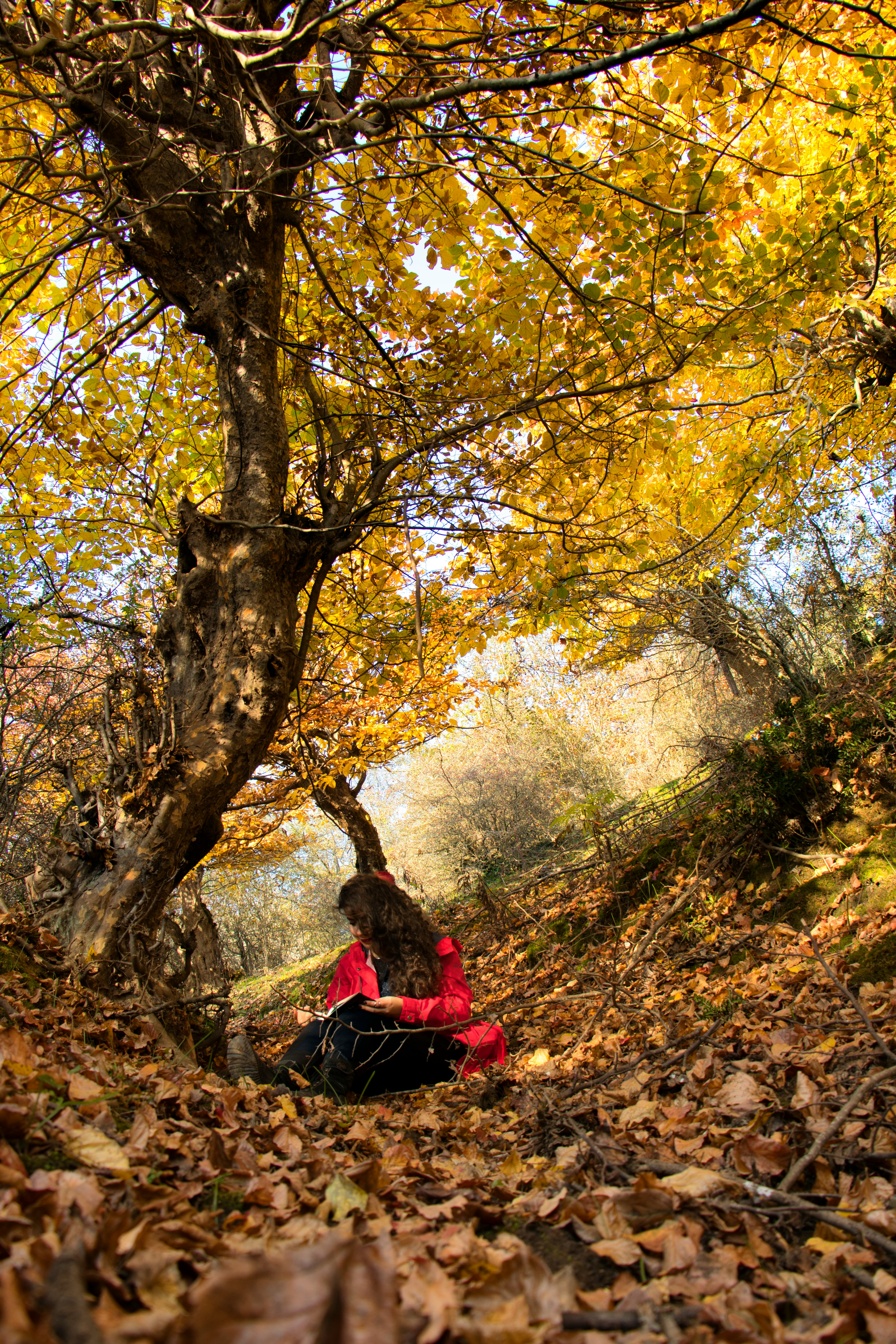 推荐区优化新闻封面图