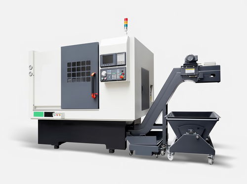 以色列最猛性XXXXX视频