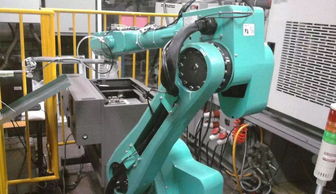 Clothing and Accessories