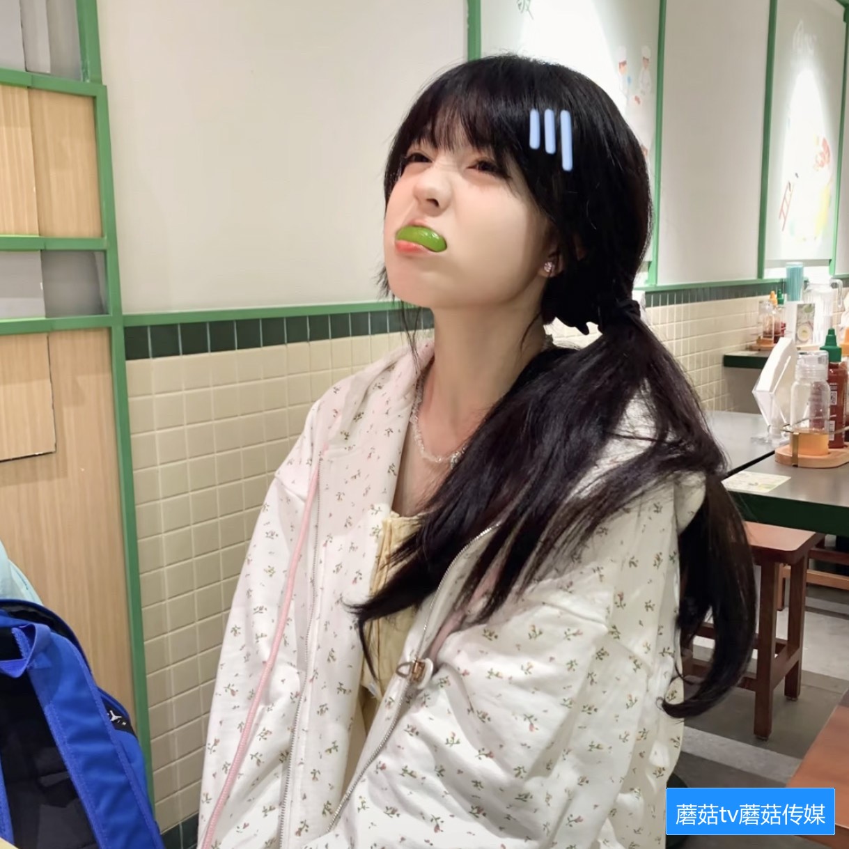 蘑菇TV网页版怎么使用及常见问题解答